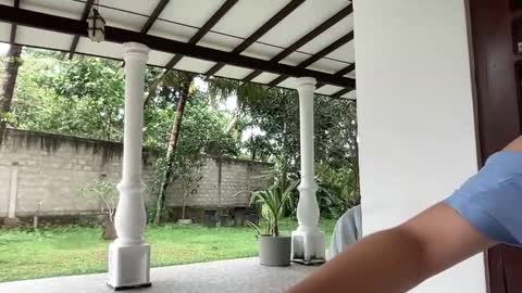   online show from 01-28-25, 07:00