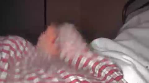 eliexavier123456789 online show from 04-21-26, 05:36