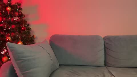 Snapshot of elisonnina chatting on 12-29-24, 06:38 Nina online show from 12-29-24, 06:38