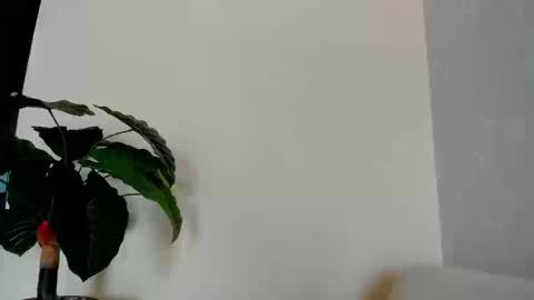 My name is ElizaPVT is open online show from 09-08-25, 09:25