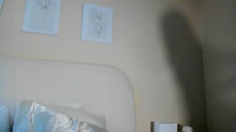 My name is ElizaPVT is open online show from 12-02-25, 10:38