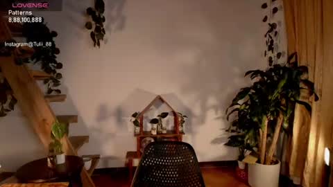 Tuli online show from 06-22-26, 01:07