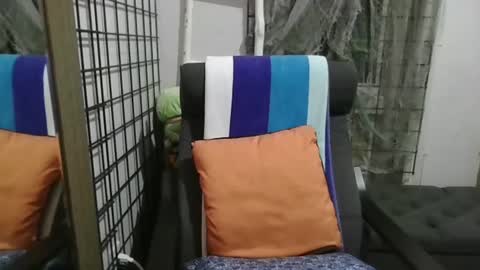 Elliohh online show from 04-17-26, 02:47