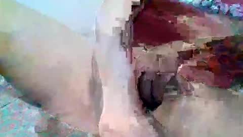 elmario24 online show from 12-01-25, 06:29