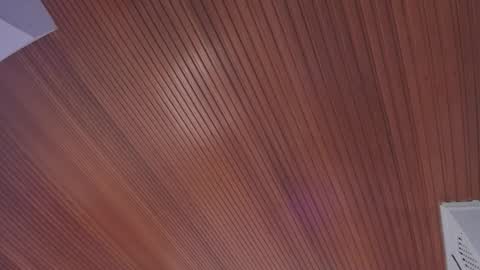 Elodie  online show from 02-14-26, 11:40