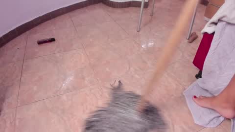 EloiseQuinn online show from 01-25-25, 03:30