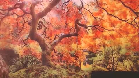 Ember Starleena online show from 09-29-25, 01:16