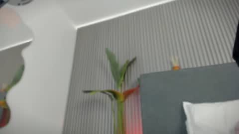 emelie_89 online show from 07-06-26, 11:40