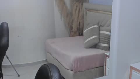 Snapshot of emelie_ch_ chatting on 12-11-24, 06:47 Emily  online show from 12-11-24, 06:47