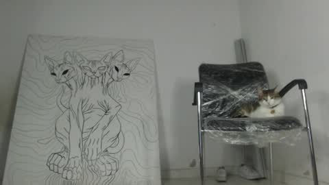 Antonella  online show from 03-17-26, 02:27