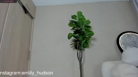 Snapshot of emily_huddson_ chatting on 06-30-26, 09:49 independet model online show from 06-30-26, 09:49