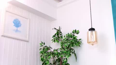 Emily online show from 03-03-26, 08:04