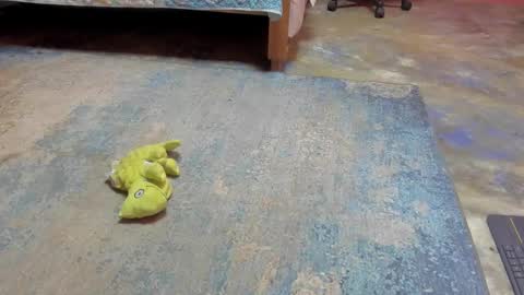 whises lits        online show from 02-21-25, 12:28