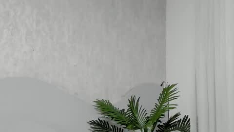 Emma Morgann online show from 02-25-26, 11:20