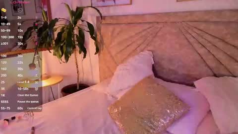           online show from 06-29-26, 11:43