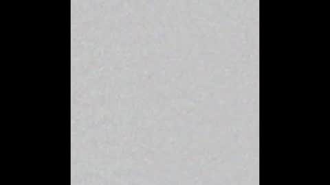 Emily online show from 10-13-25, 02:44