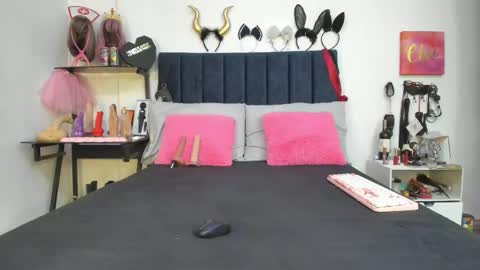          online show from 04-29-26, 12:31