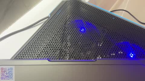 Snapshot of endlessmia chatting on 12-13-24, 11:50 Mia online show from 12-13-24, 11:50