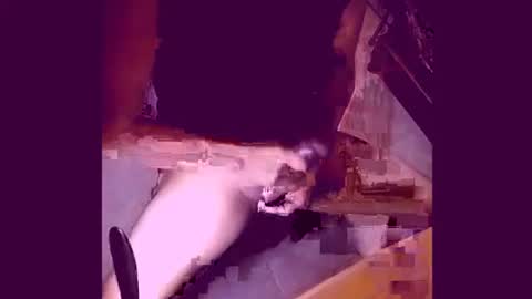 enjoylatino69 online show from 04-19-26, 12:43