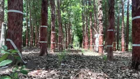 Luke online show from 11-26-25, 01:45