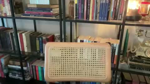 FOLLOW  JOIN MY CULT online show from 10-29-25, 05:04