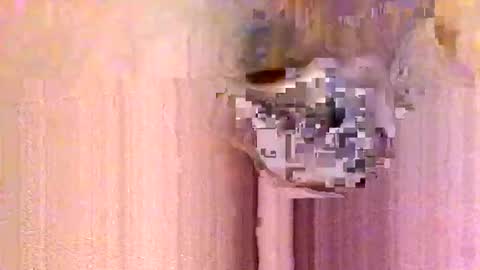 take it easy online show from 01-13-26, 12:54