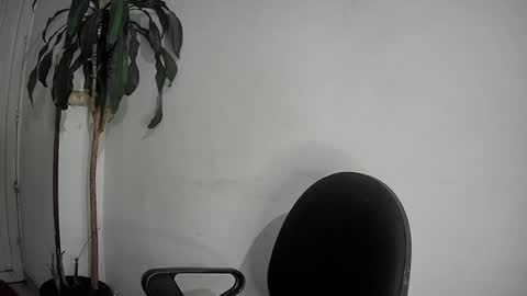 evacollins12 online show from 12-02-24, 12:52