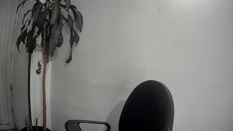 evacollins12 online show from 12-09-24, 01:40