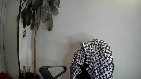 evacollins12 online show from 01-07-25, 03:46