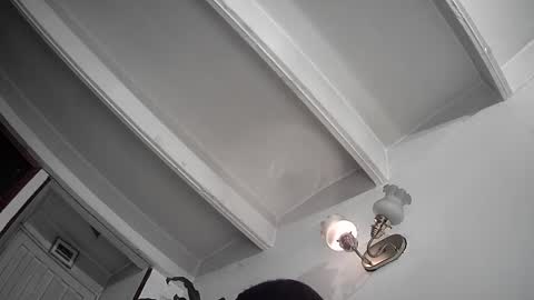 evacollins12 online show from 02-25-25, 12:36