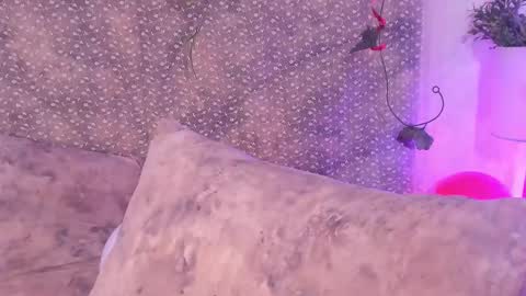Snapshot of evan_smitt_ chatting on 02-15-25, 04:23 Evan Smitt online show from 02-15-25, 04:23