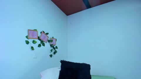 Snapshot of evelinmiller9 chatting on 09-09-25, 02:05 Evelin Miller online show from 09-09-25, 02:05