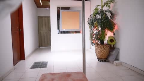 evelyn evelyn online show from 04-03-26, 07:01