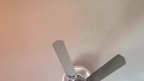 Exoticlexxii online show from 04-06-26, 01:01