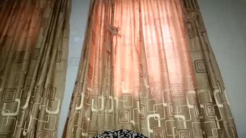 Nina online show from 04-11-26, 07:45