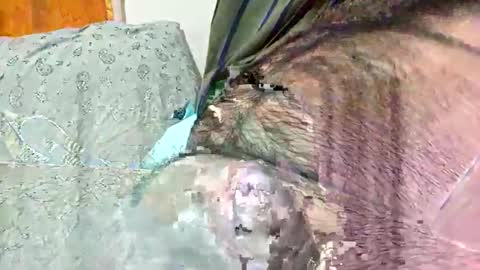 Snapshot of ezzz_au20 chatting on 11-02-25, 05:32 ezzz_au20 online show from 11-02-25, 05:32