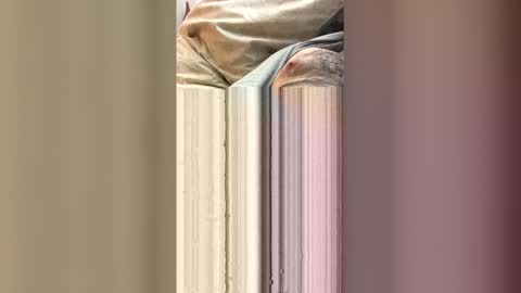 Snapshot of ezzz_au20 chatting on 01-12-26, 04:07 ezzz_au20 online show from 01-12-26, 04:07