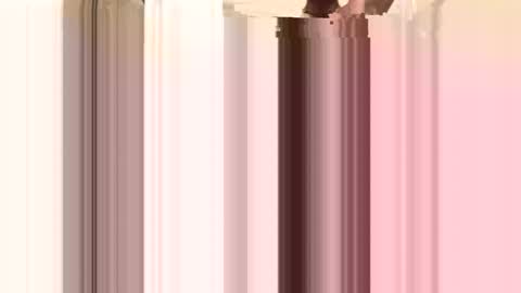 facesd online show from 04-20-26, 04:37
