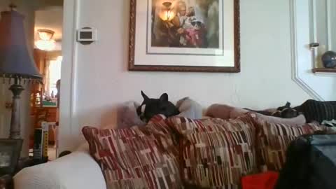 fairmount31 online show from 02-19-25, 07:16