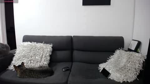 Snapshot of fallgays chatting on 02-22-25, 12:16 FallGays online show from 02-22-25, 12:16