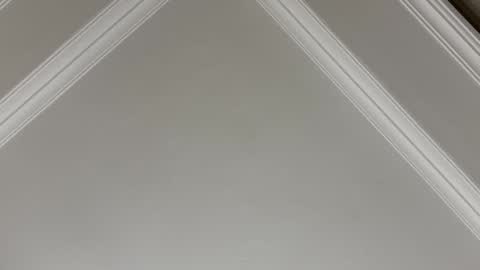 famsea online show from 11-10-25, 01:48