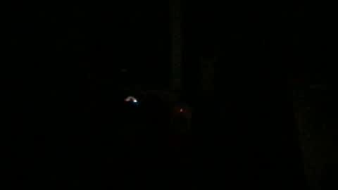 Snapshot of fantasticdeee chatting on 01-06-25, 03:20 fantasticdeee online show from 01-06-25, 03:20