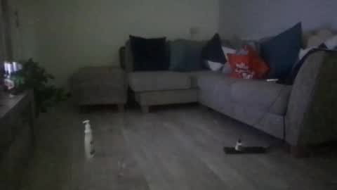 Snapshot of fantasticdeee chatting on 03-06-25, 06:30 fantasticdeee online show from 03-06-25, 06:30