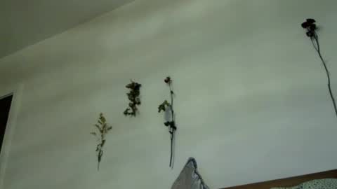 fantasycreampuff666 online show from 07-31-26, 09:09