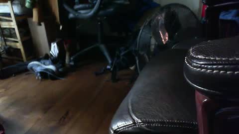 Shawn online show from 09-15-25, 01:33