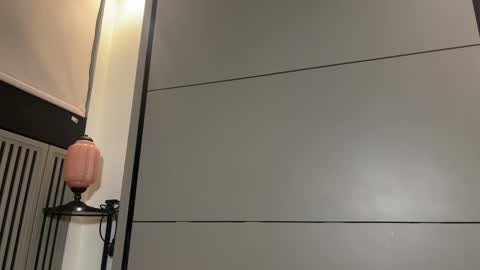 Gattino online show from 03-08-25, 07:31