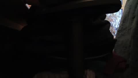 Snapshot of fat_bubble chatting on 10-26-25, 03:51 Fat Bernd online show from 10-26-25, 03:51