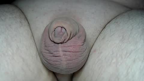 Fatmanscock online show from 03-02-26, 07:26