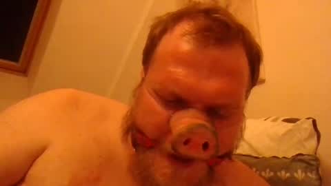 Snapshot of fckcbacc89 chatting on 06-20-26, 01:30 Horny Fat Boy online show from 06-20-26, 01:30