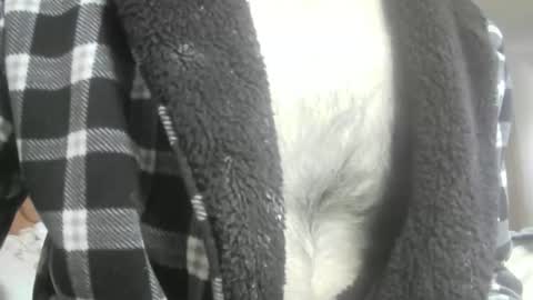 feardubh online show from 02-16-26, 10:44